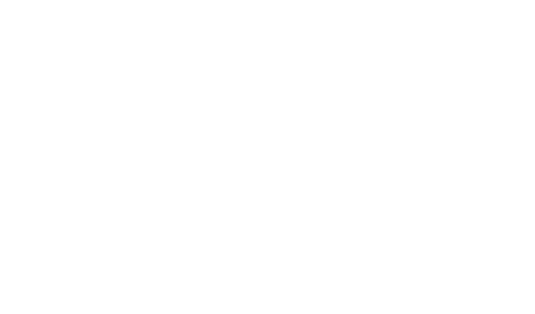 Stay Vara logo
